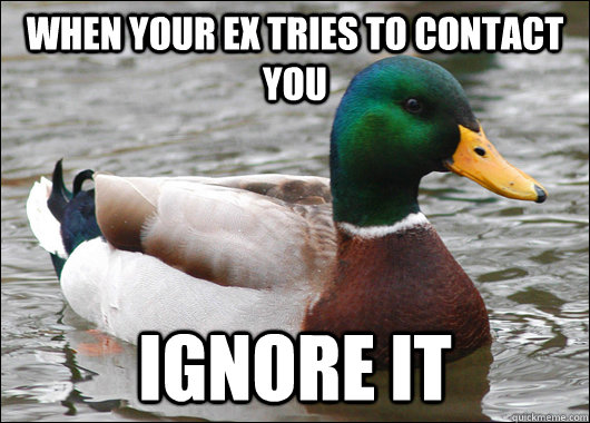 when your ex tries to contact you ignore it - Actual Advice Mallard