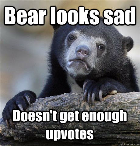 bear looks sad doesnt get enough upvotes - Confession Bear