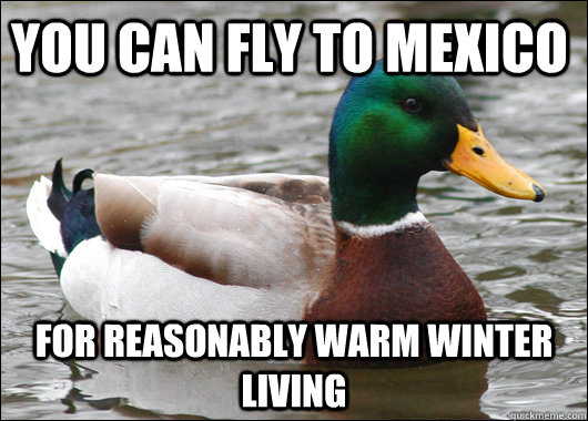you can fly to mexico for reasonably warm winter living - Actual Advice Mallard