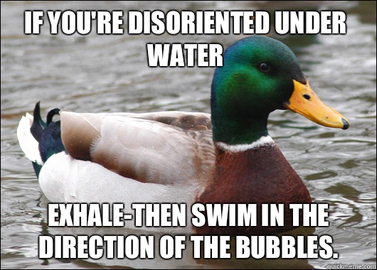 If youre disoriented under water Exhalethen swim in the dire - Actual Advice Mallard