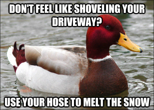 dont feel like shoveling your driveway use your hose to me - Malicious Advice Mallard