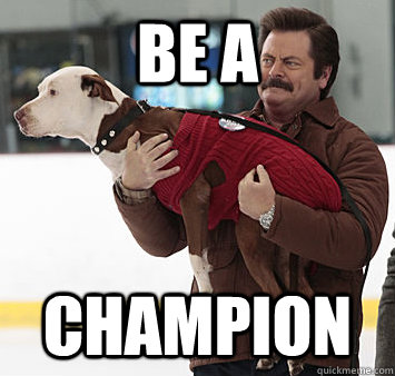 be a champion -