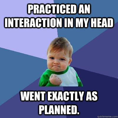 practiced an interaction in my head went exactly as planned - Success Kid
