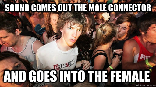 sound comes out the male connector and goes into the female - Sudden Clarity Clarence