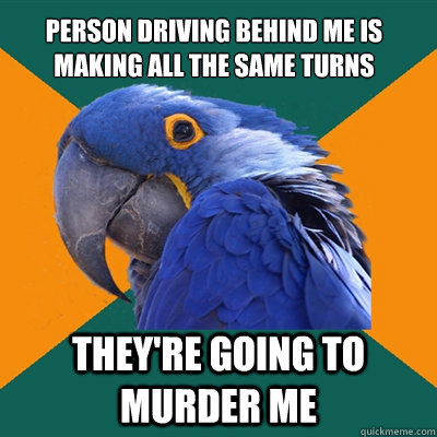 person driving behind me is making all the same turns theyr - Paranoid Parrot