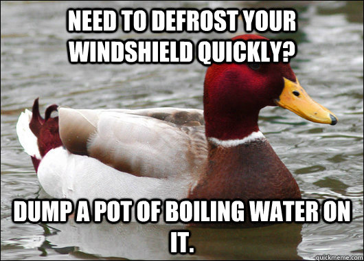 need to defrost your windshield quickly dump a pot of boili - Malicious Advice Mallard