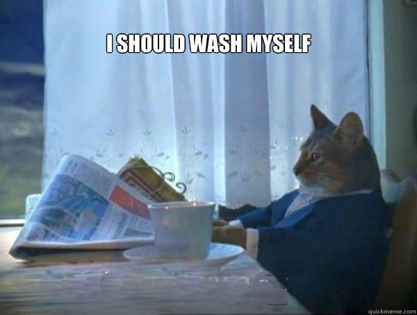 i should wash myself - morning realization newspaper cat meme