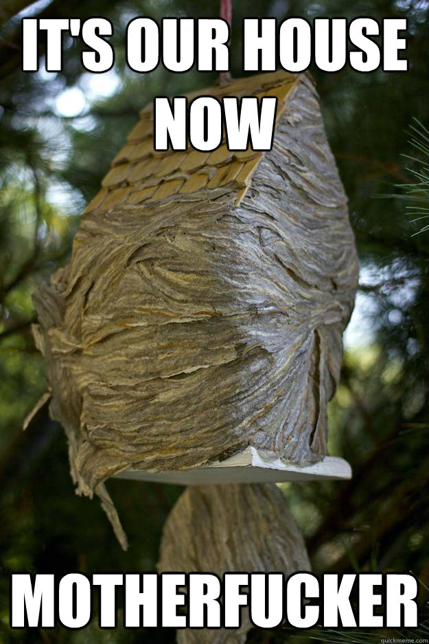 its our house now motherfucker - 