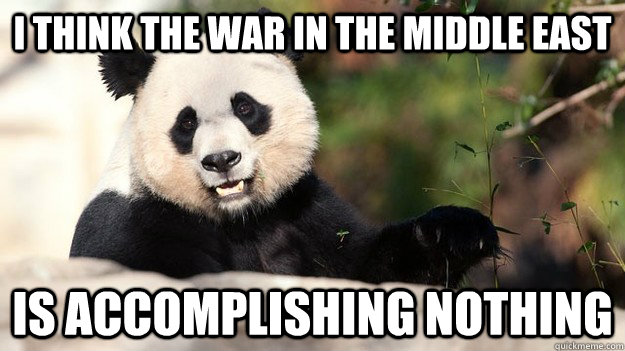 i think the war in the middle east is accomplishing nothing - Popular Opinion Panda