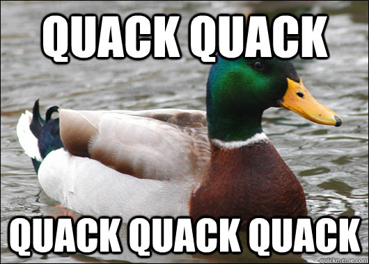 quack quack quack quack quack - Actual Advice Mallard