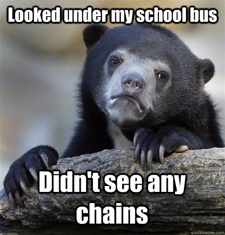 looked under my school bus didnt see any chains - Confession Bear