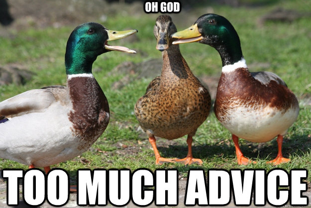 oh god too much advice - Redditor Duck