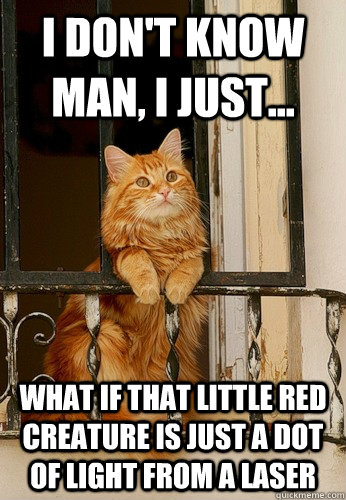 i dont know man i just what if that little red creature - Introspective Cat
