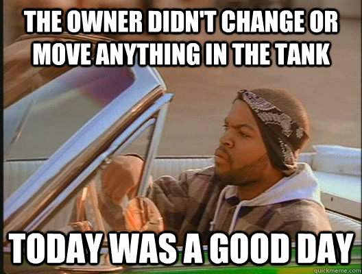 the owner didnt change or move anything in the tank today w - today was a good day