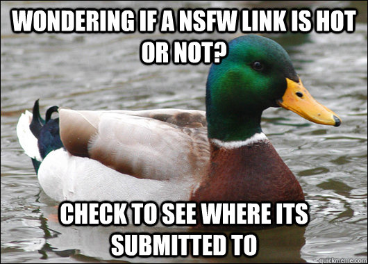wondering if a nsfw link is hot or not check to see where i - Actual Advice Mallard