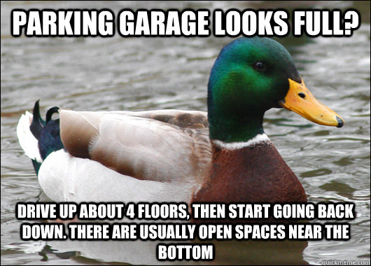parking garage looks full drive up about 4 floors then sta - Actual Advice Mallard