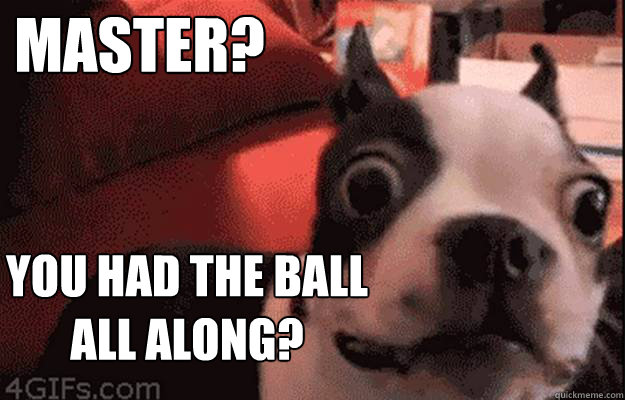 master you had the ball all along - Sudden Realisation Dog