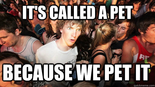 its called a pet because we pet it - Sudden Clarity Clarence
