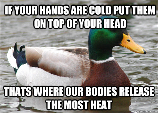if your hands are cold put them on top of your head thats wh - Actual Advice Mallard