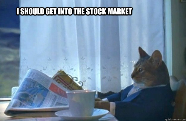 i should get into the stock market - Sophisticated Cat