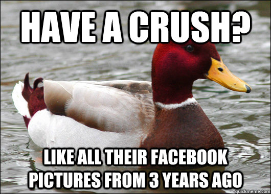 have a crush like all their facebook pictures from 3 years - Malicious Advice Mallard