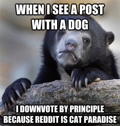 when i see a post with a dog i downvote by principle because - Confession Bear
