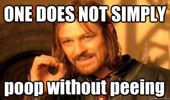 one does not simply poop without peeing - One Does Not Simply