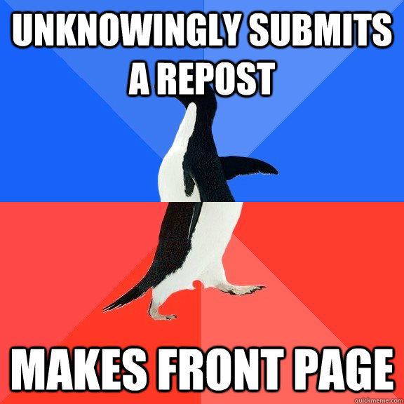 unknowingly submits a repost makes front page - Socially Awkward Awesome Penguin