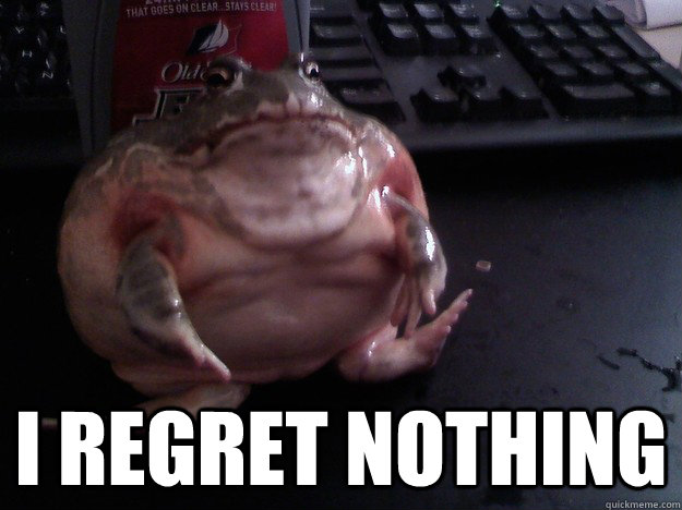 i regret nothing - Bud Frog