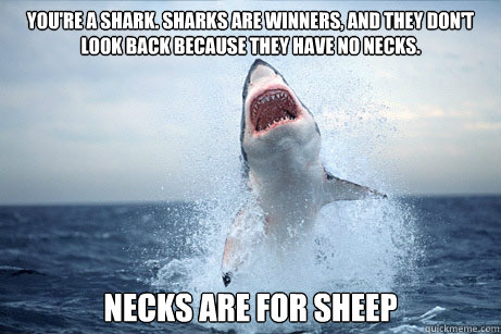 youre a shark sharks are winners and they dont look back - Lying Shark