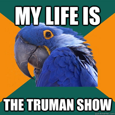 my life is the truman show - Paranoid Parrot