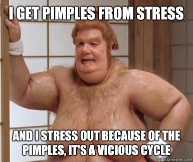 I get pimples from stress and I stress out because of the pi - fat bastard