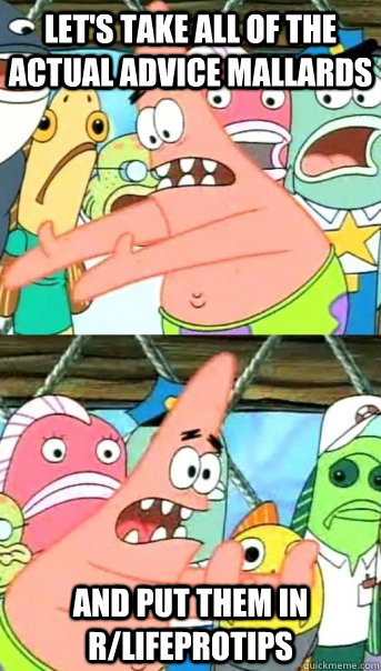 lets take all of the actual advice mallards and put them in - Push it somewhere else Patrick