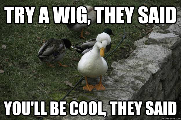 try a wig they said youll be cool they said - DEPRESSED FRO DUCK