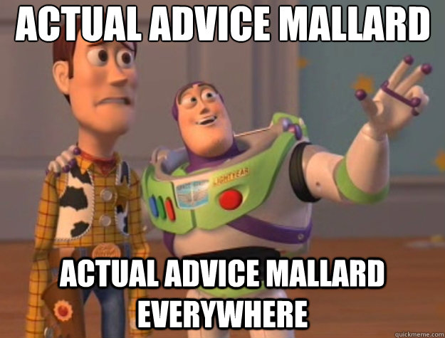 actual advice mallard actual advice mallard everywhere - Toy Story