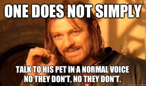 ONE DOES NOT SIMPLY TELL HIS GRANDMA HES NOT HUNGRY - One Does Not Simply