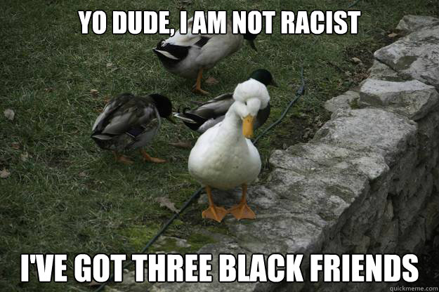 yo dude i am not racist ive got three black friends -