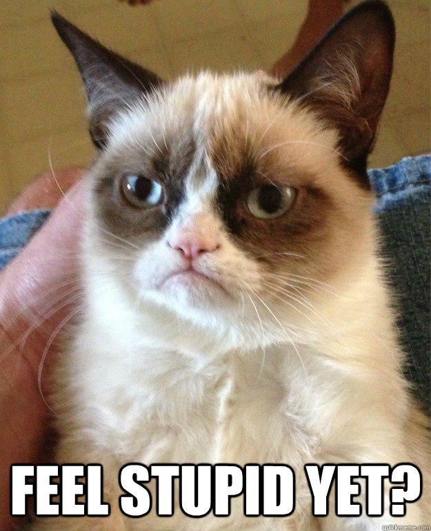 feel stupid yet - Grumpy cat