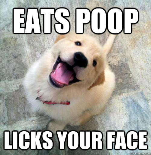 eats poop licks your face - Actual Puppy