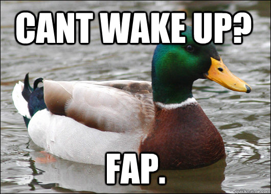 cant wake up fap caption 3 goes here - Actual Advice Mallard