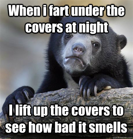 when i fart under the covers at night i lift up the covers t - Confession Bear