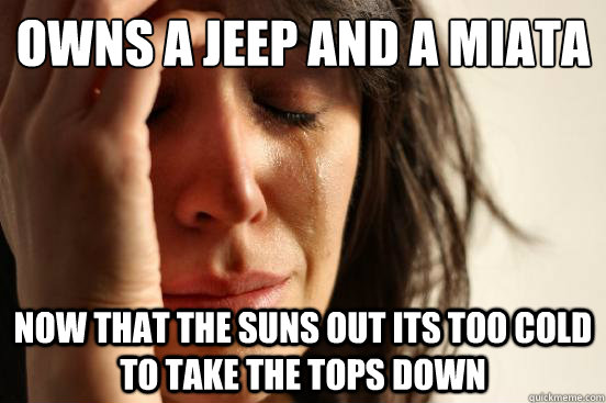 owns a jeep and a miata now that the suns out its too cold t - First World Problems