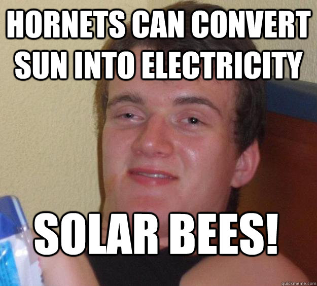 hornets can convert sun into electricity solar bees - 10 Guy