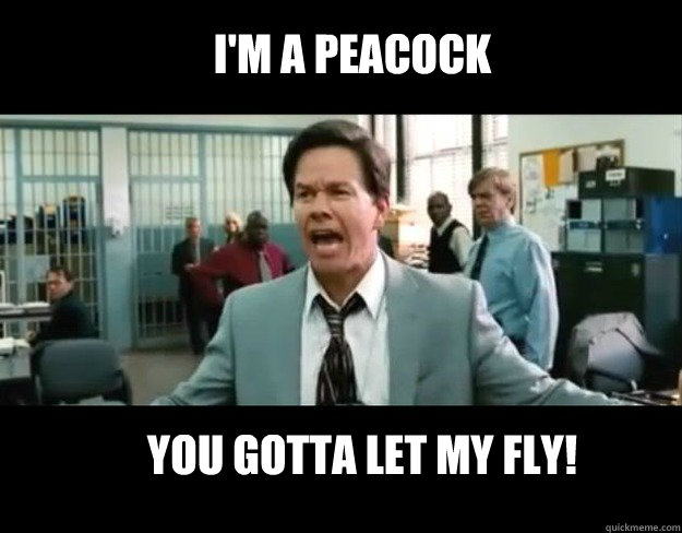 im a peacock you gotta let my fly - Mark Wahlberg Fail