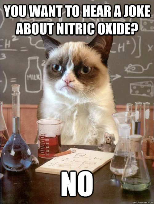 you want to hear a joke about nitric oxide no -