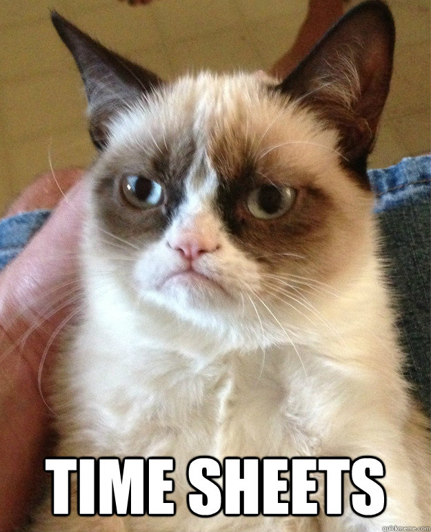 time sheets - Grumpy cat