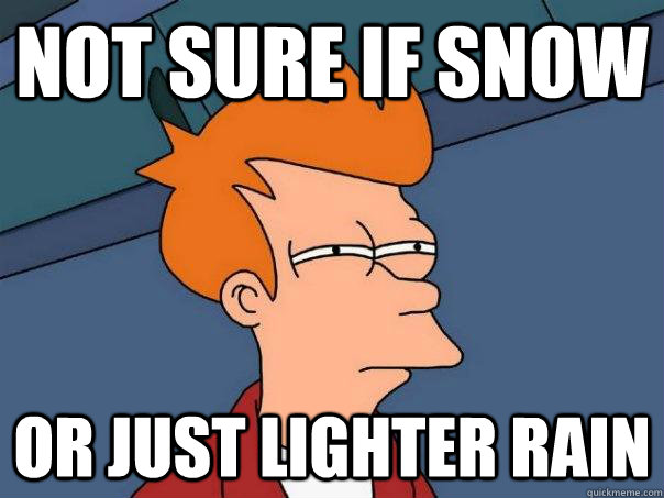 not sure if snow or just lighter rain - Futurama Fry