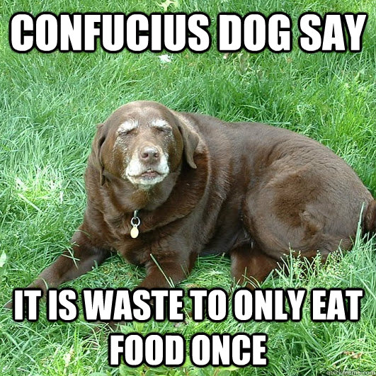 confucius dog say it is waste to only eat food once - Confucius Dog