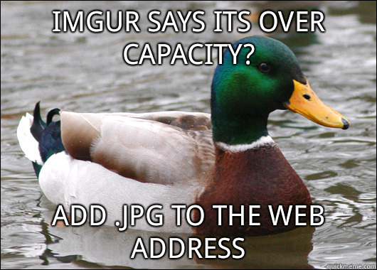 imgur says its over capacity add jpg to the web address - Actual Advice Mallard