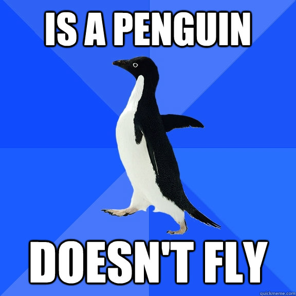 is a penguin doesnt fly - Socially Awkward Penguin